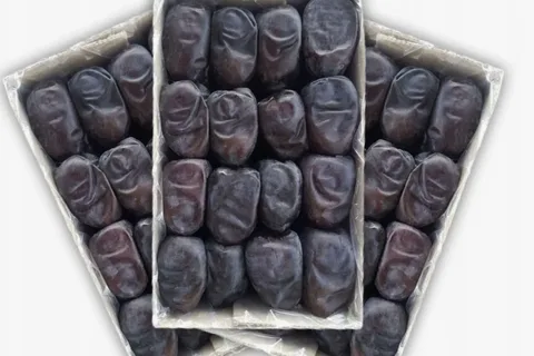 تصویر 2 از خرما مضافتی بم با پیشینه نخلستانی دیرینه و کیفیت ضمانت شده